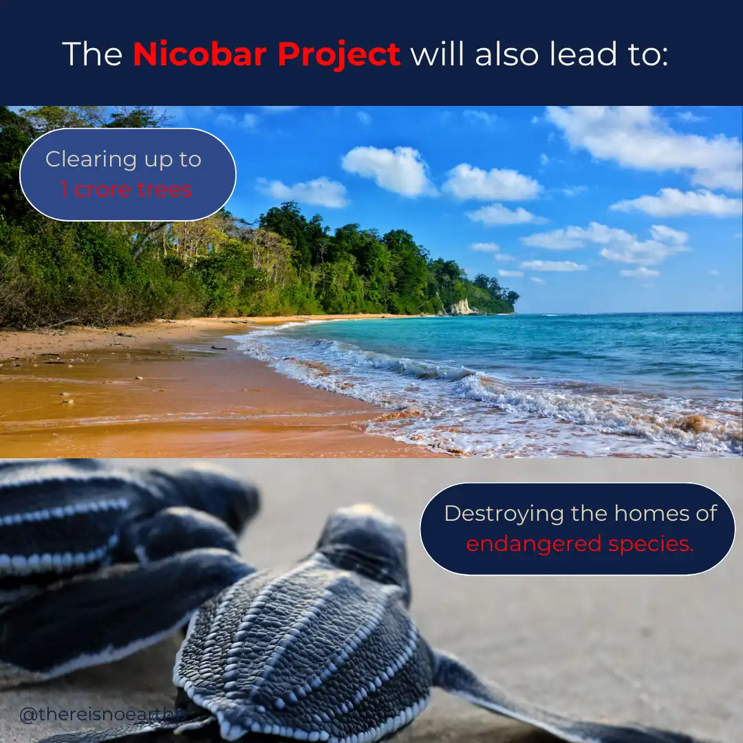 Save Nicobar Image